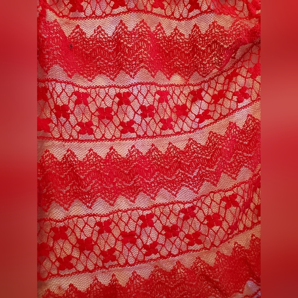 Sheer Red Lace - Picture 9 of 9